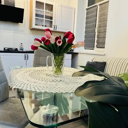 шпитальна Lvov