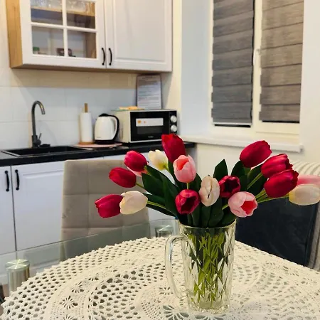 шпитальна *